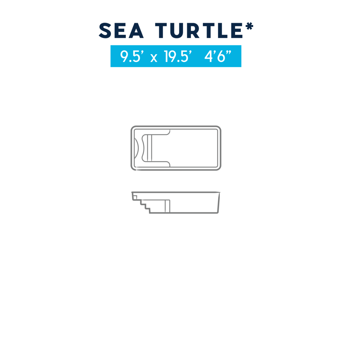 Sea Turtle